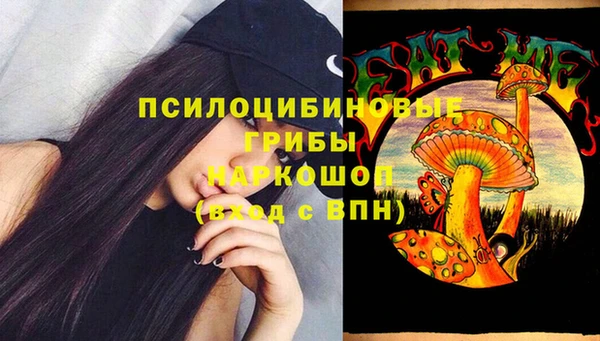 первитин Лиски