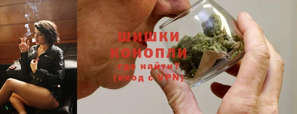 гидра Лагань