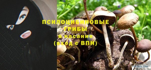 гидра Лагань
