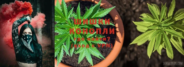 мяу мяу кристалл Ладушкин