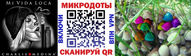 Купить где  Анива  Галлюциногенные грибы мицелий 